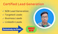 do web search, lead generation, linkedin lead,  facebook ads