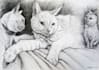 draw your pet and send the file by mail