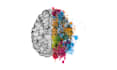 do watercolor brain logo or brain illustration