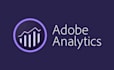 create professional adobe analytics workspace dashboards