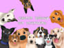 draw your pet into disney cartoon style