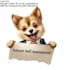 prepare and submit self assessment for UK
