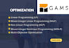 solve your linear and nonlinear optimisation problem in gams