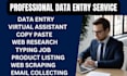 do web research, web scraping, copy paste, typing data entry
