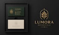 do professional luxury business logo design