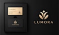 do professional luxury business logo design