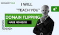 teach you domain flipping business