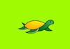design high quality turtle logo with satisfaction guaranteed
