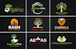 design incredible beautiful coaching logo