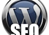 seO optimise your wp website