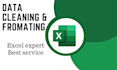 do excel data cleaning, formatting, entry and sorting