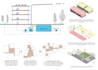 illustrate professional architecture concept diagrams