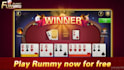 develop chess game, ludo game, card game, board game, crypto game