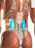 do scientific medical figures illustrations