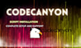 professional installation and customization of your codecanyon script