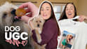 create ugc dog video ads for tiktok facebook instagram reels