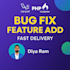 fix bugs and add features in your laravel website