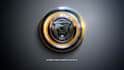 do custom 3d logo rotating and reveal animation