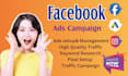 be your facebook ads manager and fb advertising