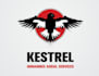 design a professional modern bird logo