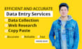 efficient and accurate data entry services