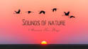 create nature shorts videos , travel, fantasy,yoga,chakra, meditation music