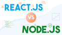 develop react js and node js website