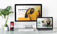 develop a wordpress website, design, redesign, and much more