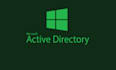 provide any type of support for active directory domain