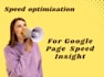 do speed up the wordpress website for google page speed optimization