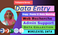 do a professional data entry  and web research job