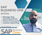 manage your sap b1 adminitration and data entry