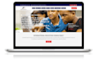 develop wordpress professional, responsive, SEO, website