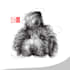 create animal and pet scribble illustration style