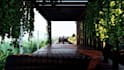 design your rooftop garden, pool and courtyard  3d renderings
