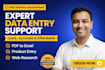 be personal virtual assistant for excel data entry,  copy paste, pdf to excel
