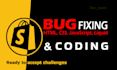 do shopify custom coding fix bugs and liquid error