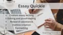 do a quick essay writing, articles, research, case studies