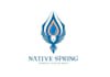 design a professional awesome spring water logo