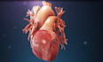 create detailed 3d medical animations, video, surgery, virus animation, anatomy