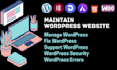 help to fix and maintenance your wordpress website