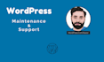 provide professional wordpress maintenance and support