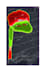 create site grading plan in autocad civil 3d