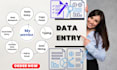 do data entry copy paste, web research, and excel data entry