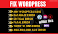 fix wordpress website bugs elementor 500 internal server error database issues