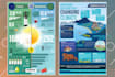 do product infographic design for business