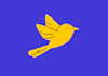 design bird logo with my creative thinking