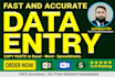 be your expert excel data entry, typing and copy paste specialist