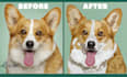 trace or recreate your images quickly into vector