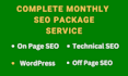 provide complete monthly SEO package service